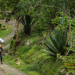 ....in diesem extrem bergigen Gebiet ist das Pferd noch extrem wichtig.....