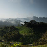 .....die Morgenstimmung ist am schönsten