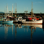 Abendlicht verzaubert alles