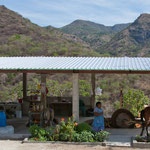 Hier wird mittels 1 PS die Agave gemahlen.....