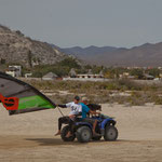 Wer aus USA kommt läuft keinen Schritt zuviel - sogar die Hunde leben nach diesem Motto