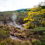 ....trotzdem ist die ganze Gegend sehr schön.....