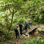 ....auch über Bäche.....