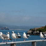 Das Städtchen Trinidad hat einen sehr schönen Naturhafen