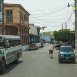 ....und auf dem Ku´damm muss immer mindestens 1 Kuh lebend anwesend sein!!!