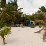 Die Zelte stehen direkt am Strand und tollen Palmen.....
