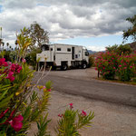 Unser Traumpaltz am Lake Mead