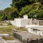 ....der Friedhof - das einzige Lebewesen ein Leguan.....