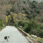 Aber auch die Kleinsten sind ganz schön flink