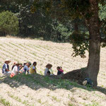 die wohlverdiente Pause im Schatten und große Neugier