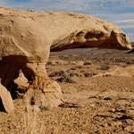 eine "steinerne Riesenechse"