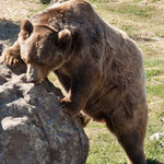 Gott sei Dank sind wir in Sicherheit - vor so viel Kraft.