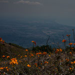 ....Blick auf die Ebene von Granada.....