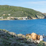 Ein Hindernis auf unserer Wanderung