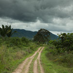 Dieser kleine Weg soll der Richtige sein???.....