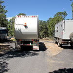 ....auch dieMüllfahrer interessierten sich für "Mogge" und "Baby".