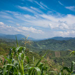 ....und immer wieder sieht man an steilsten Berghängen Maisfelder....