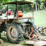 Der Besitzer scheint alte Traktoren zu sammeln....