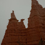 links oben: "Queen Victoria von England"