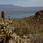 ...Blick auf den "Roosevelt Lake"