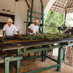 Und dies die modernen Maschinen der Haciendabesitzer des 19.ten Jahrhunderts