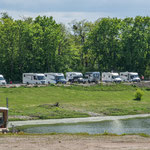 der Stellplatz am Elbufer gegenüber der Altstadt