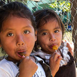 ....die Lollipops schmecken einfach köstlich....