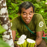 ....Eldadio zeigt uns voller Begeisterung die Frucht - hier noch nicht ganz reif....