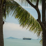 ....auch solche "Ungeheuer".....