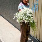 .....this young lady has give us this flowers as a farewell gift.