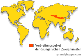 Natürlicher Lebensraum der Zwerghamster